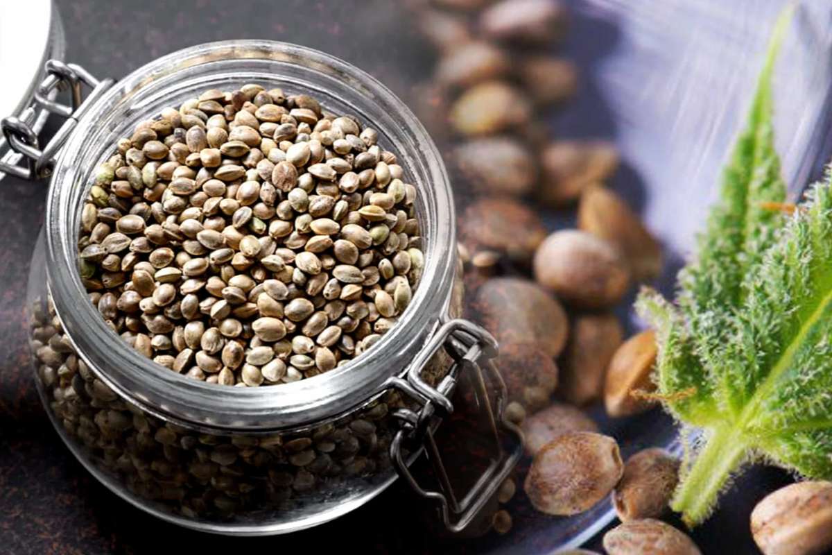 Tips for Properly Storing Your Cannabis Seeds